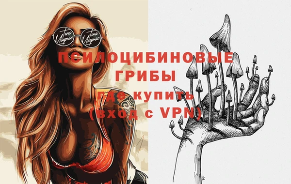 дурь Саяногорск