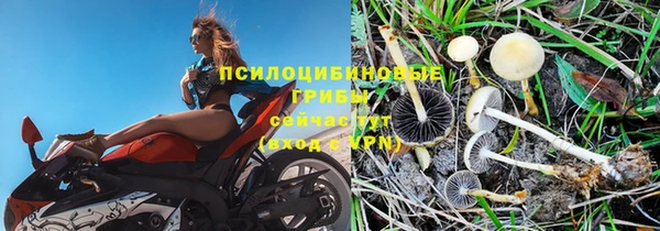 марихуана Железноводск
